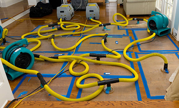 Professional Water Extraction technician working in North Robinson, OH